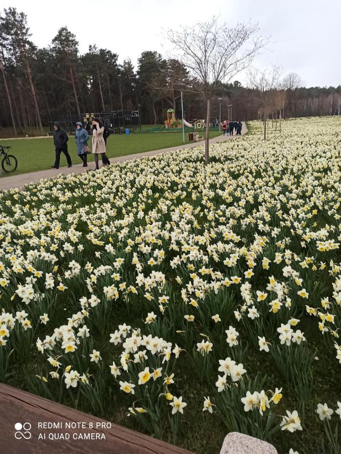 Nelli Apartamentai Druskininkai Eksteriør bilde