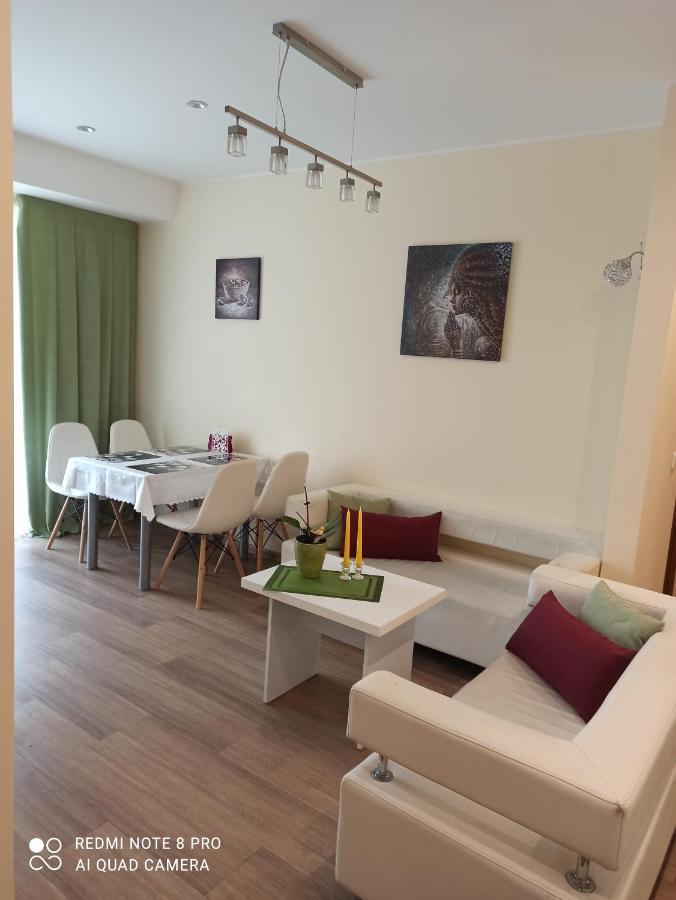 Nelli Apartamentai Druskininkai Eksteriør bilde